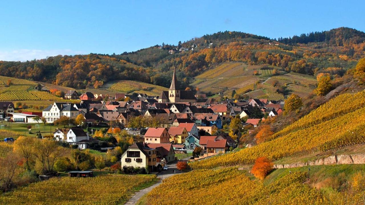 Hotel De L'Ange Niedermorschwihr Eksteriør bilde